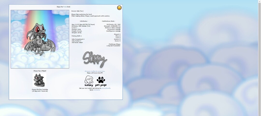 simple-neopets-pet-lookup-etsy