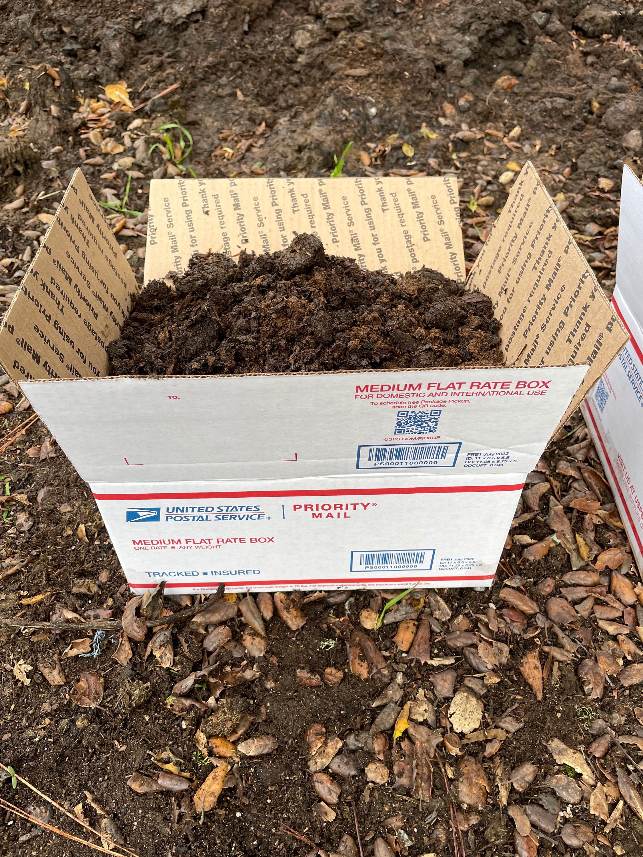 Organic Horse Manure Compost, Gardening, Soil Amendment, Fertilizer