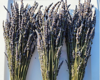 Dos variedades de ramos de lavanda seca orgánica, de diferentes tamaños, aromas y colores. ¡Exhibe, decora y regala! Decoración natural para el hogar. ¡Fragante púrpura!