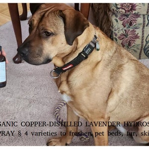Organisk husdjursspray - naturlig husdjursparfym, deodoriserar sängkläder, eliminerar husdjurslukt, neutraliserar våt hundlukt, läker kliande fläckar, återfuktar