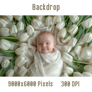 Newborn Digital Backdrop, Newborn Baby White Tulip Photography, Photoshop Composite Digital background, Baby Prob Backdrop Studio Background