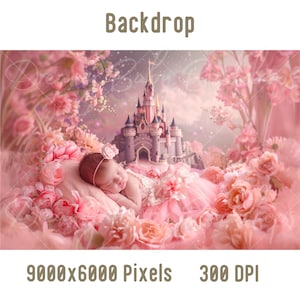 Newborn Digital Backdrop, Newborn Baby Princess Photography, Photoshop Composite, Digital Background, Baby Prob Backdrop, Studio Background