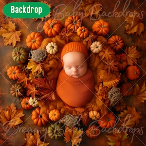 Newborn Digital Backdrop, Newborn Baby Infant Photography, Photoshop Composite Digital background, Baby Prob Backdrop, Studio Background