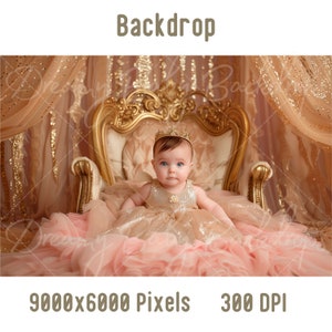 Newborn Digital Backdrop, Newborn Baby Princess Photography, Photoshop Composite, Digital Background, Baby Prob Backdrop, Studio Background