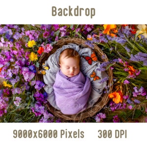 Newborn Digital Backdrop, Newborn Baby Woven Basket Photography, Photoshop Composite Digital background Baby Prob Backdrop Studio Background