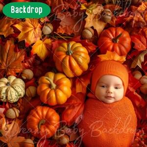 Newborn Digital Backdrop, Newborn Baby Infant Photography, Photoshop Composite Digital background, Baby Prob Backdrop, Studio Background