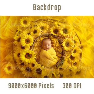 Newborn Digital Backdrop, Newborn Baby Woven Basket Photography, Photoshop Composite Digital background Baby Prob Backdrop Studio Background