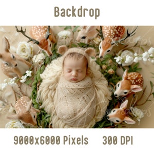 Newborn Digital Backdrop, Newborn Baby Woodland Photography, Photoshop Composite Digital background, Baby Prob Backdrop Studio Background