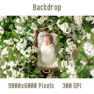 Newborn Digital Backdrop, Newborn Baby Woven Basket Photography, Photoshop Composite Digital background Baby Prob Backdrop Studio Background