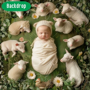 Newborn Digital Backdrop, Newborn Baby Farm Theme, Animal Theme Composite digital background, Baby Prob Backdrop Photo, Studio Background