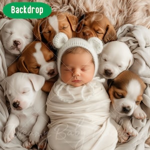 Newborn Digital Backdrop, Newborn Baby Infant Photography, Photoshop Composite Digital background, Baby Prob Backdrop, Studio Background