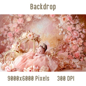Newborn Digital Backdrop, Newborn Baby Princess Photography, Photoshop Composite, Digital Background, Baby Prob Backdrop, Studio Background