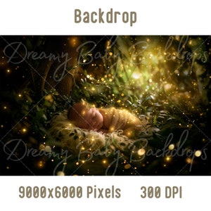Newborn Digital Backdrop, Newborn Baby Forest Photography, Photoshop Composite Digital background, Baby Prob Backdrop, Studio Background