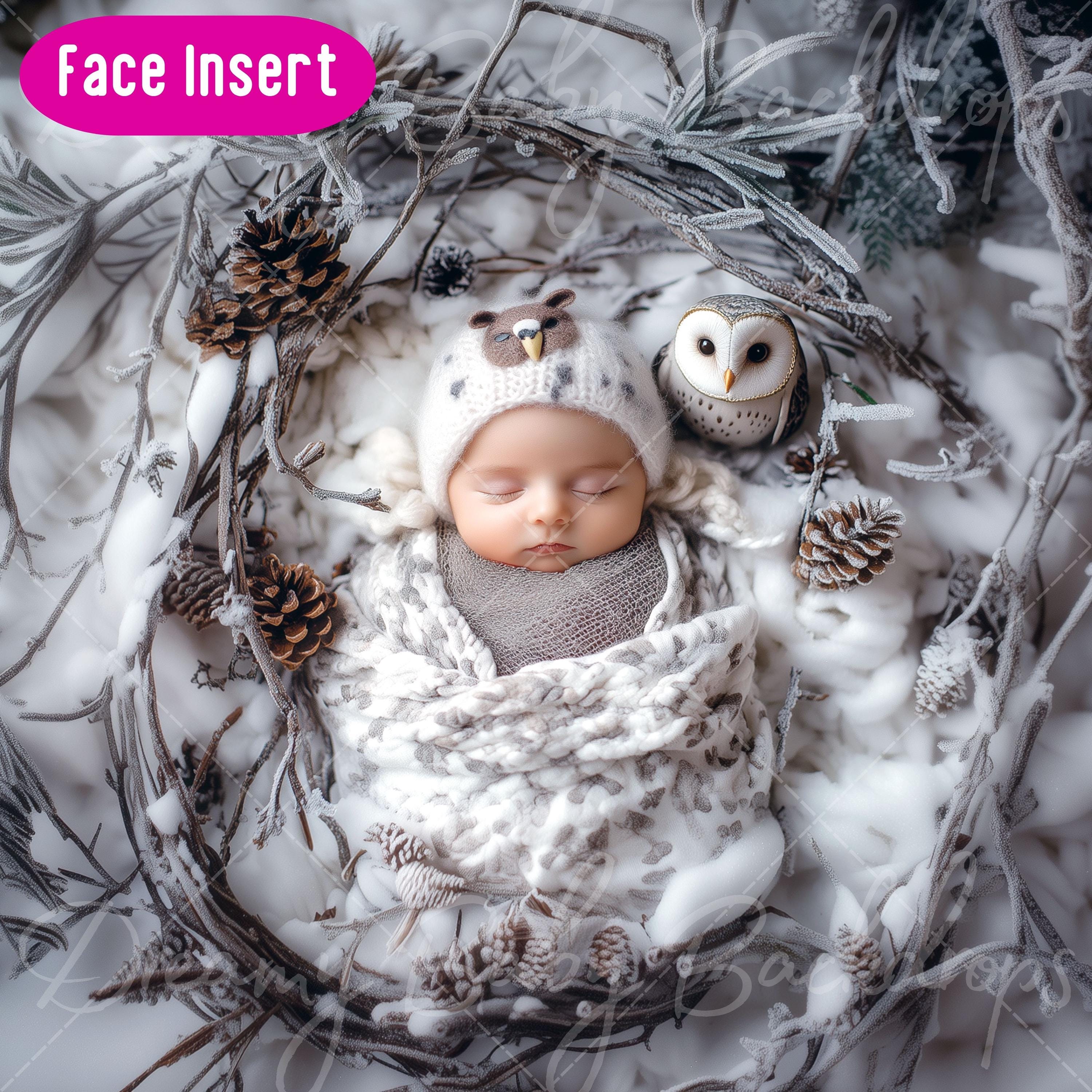 Winter Owl Newborn Digital Backdrop: Face Insert Overlay (PNG)