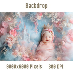 Newborn Digital Backdrop, Newborn Baby Princess Photography, Photoshop Composite Digital background, Baby Prob Backdrop Studio Background