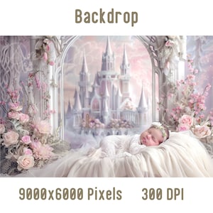 Newborn Digital Backdrop, Newborn Baby Princess Photography, Photoshop Composite, Digital Background, Baby Prob Backdrop, Studio Background