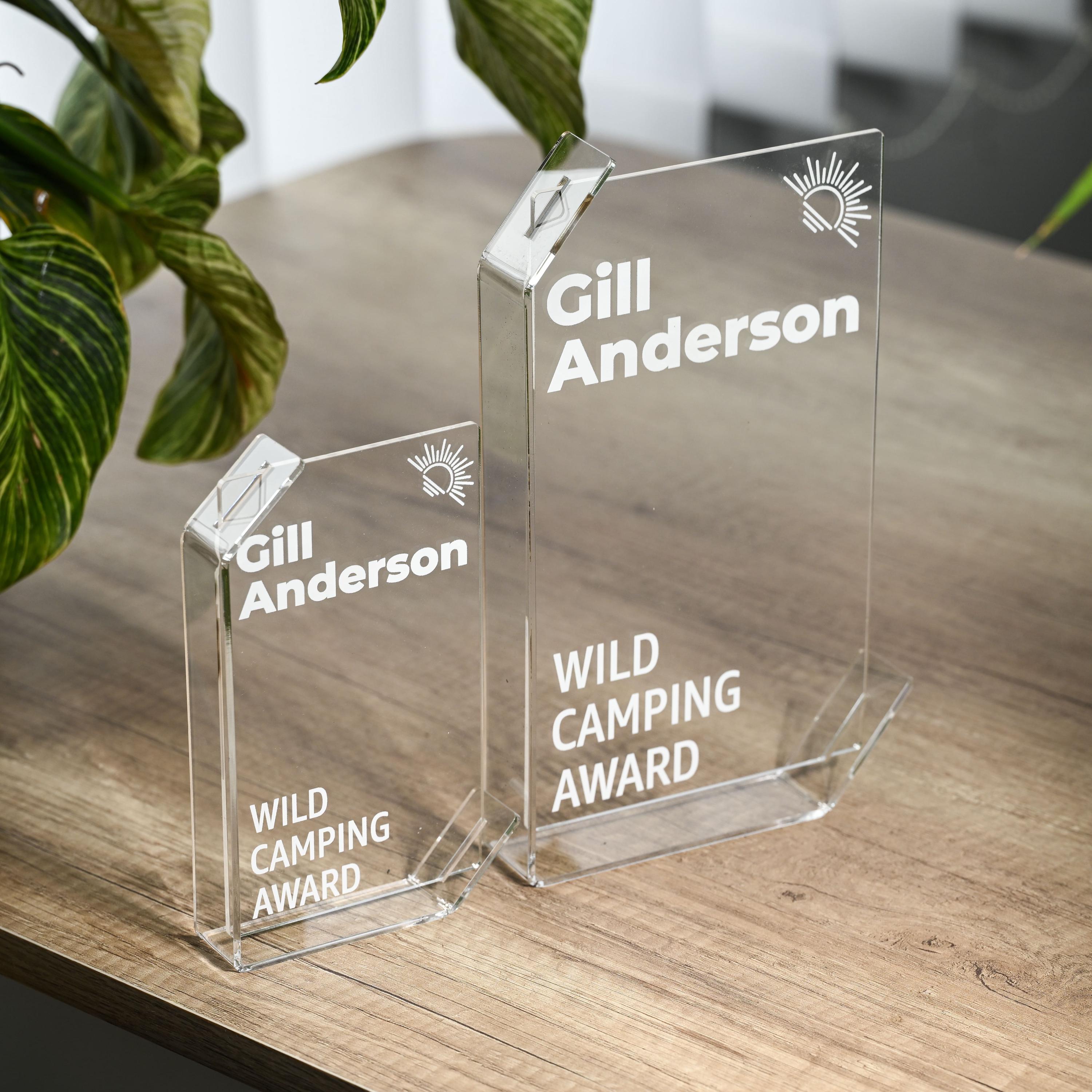 Acrylic Trophy Custom Corporate Award for Employee Achievements