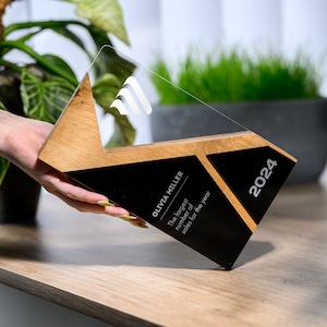 Custom Corporate Awards: Explore our compilation featuring custom trophies, business recognition, years of service awards, and customizable corporate gifts. Ideal for honoring dedication and achievement in the workplace.