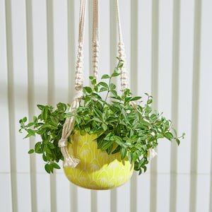 May include: A yellow ceramic hanging planter with a white palm tree design, filled with green leafy plants and hanging from a white macrame rope.