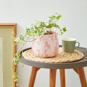 PalmBlush Cute Planter - Pink Planter, Plant Lover Gift, Unique Planter, Indoor Planter, Small Flower Pot