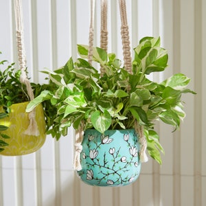 May include: Two hanging planters with lush green plants. The planter on the right is a light blue ceramic pot with a white floral design. It hangs from a macrame rope. The plant has green and white variegated leaves. The planter on the left is yellow.