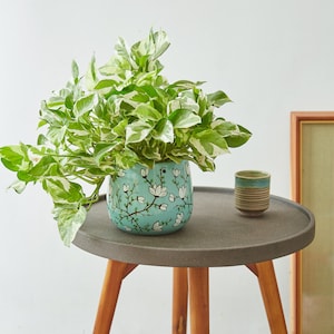 FloraSky Cute Planter - Blue Ceramic Planter, Plant Lover Gift, Unique Planter, Indoor Planter, Small Flower Pot - Hanging or Tabletop