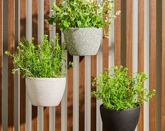 4.5" Egg Wall Mounted Planter Pot | Minimalist Wall Planter | Hanging Planter Pots | Mid-Century Wall Planter | Set of 2 or Set of 3