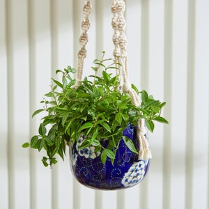 May include: A blue and white ceramic hanging planter with a green plant inside. The planter has a floral design and is suspended from a white macrame rope.