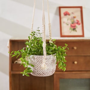 May include: A hanging plant pot with a cream-colored, textured chevron pattern. The pot is suspended by a macrame plant hanger. The pot is filled with green leafy plants. A framed floral print is in the background.