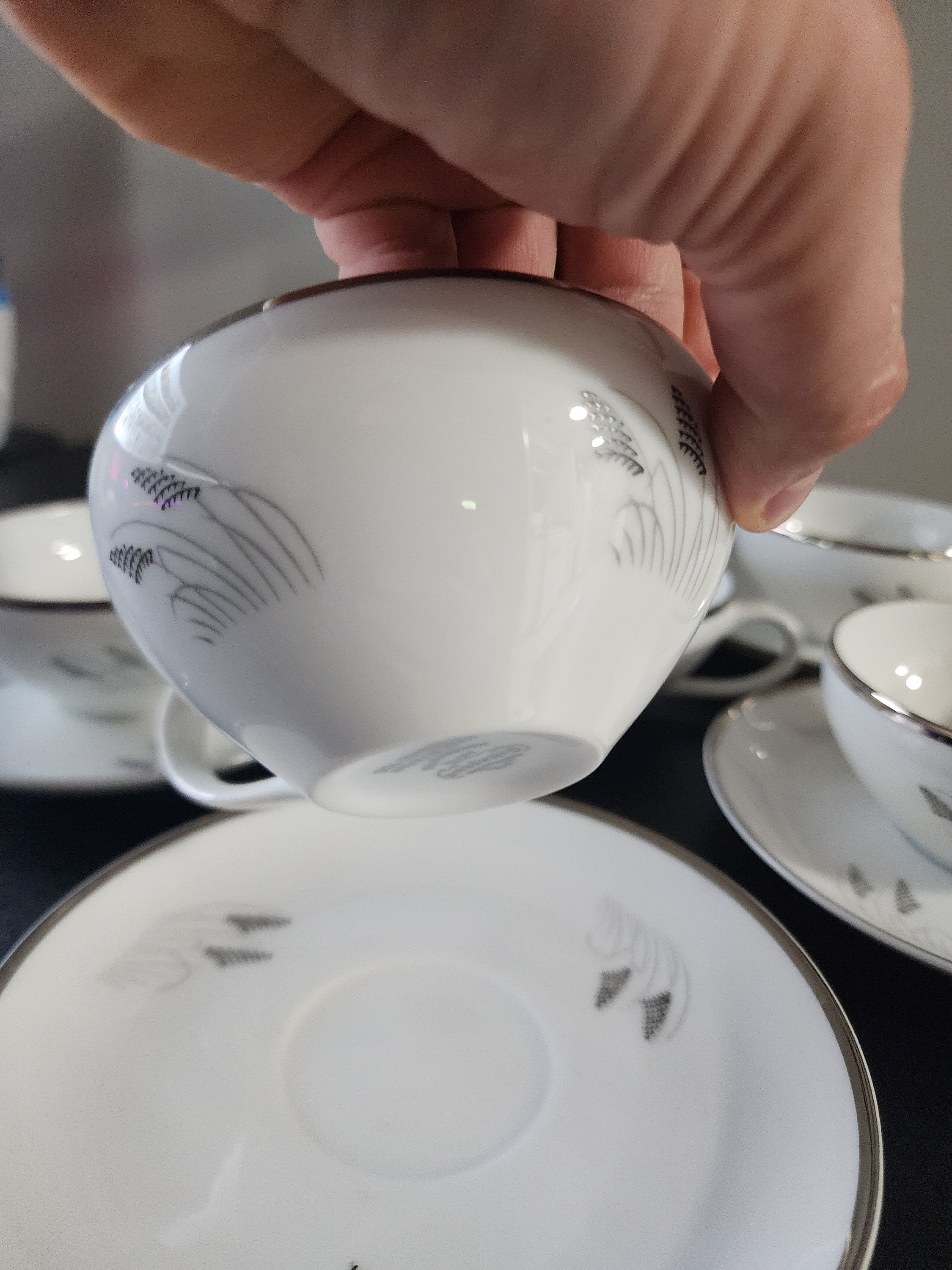 Fukagawa Arita Pattern 706 Moon Glow Black and Silver Plant 6 Cups
