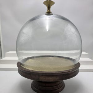 Cúpula de vidro vintage para exibição, base de pedestal de madeira, detalhes em latão e puxador superior.