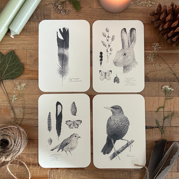 Wald Postkarten Set (Hase, Vögel, Federn & Schmetterlinge)