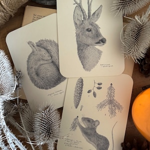 Postkarten-Set „Winter im Wald“