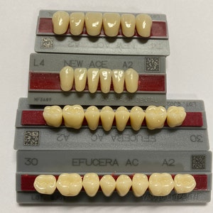 Denti anteriori/posteriori completi