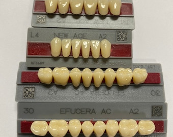 Full Set Anterior/Posterior Teeth