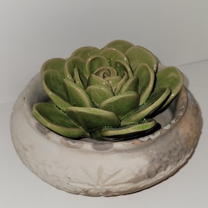 Puede incluir: Una planta suculenta de cerámica en una maceta blanca texturizada. La suculenta tiene múltiples hojas verdes dispuestas en espiral. La maceta tiene un acabado envejecido, con un diseño de estrella en el lateral.