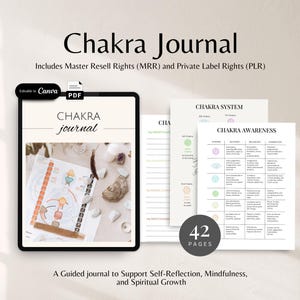 Journal des chakras Modèle numérique imprimable pour chakras Croissance spirituelle Chakra de conscience Pierres de chakra Journal spirituel Système de chakras MRR DPP