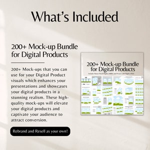 Digital Product Starter Kit All u need to start your Digital Products Business 5 done for you guides w Master Resell Rights MRR and PLR DFY image 7