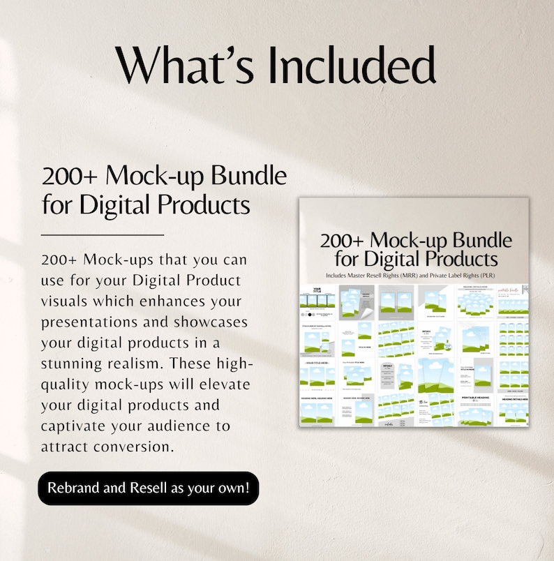 Digital Product Starter Kit All u need to start your Digital Products Business 5 done for you guides w Master Resell Rights MRR and PLR DFY image 7
