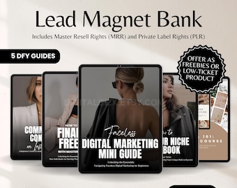 Blei-Magnet Bank, 5 digitale Produkte als Freebie für Ihr digitales Marketing mit Master Resell Right MRR und PELA