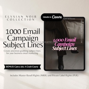 1000 Email Campaign Subject Lines to Boost Engagement and Open Rates with Master Resell Rights and Private Label Rights MRR Email Marketing