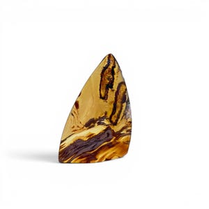 May include: A polished, amber-colored gemstone with dark brown and black veining. The triangular stone has a smooth surface and is set against a white background. The stone's unique pattern and color variations are visible.