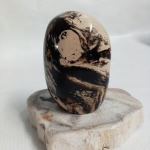 Puede incluir: Una piedra natural pulida de forma ovalada, de color negro y crema, con patrones en espiral. La piedra está sentada sobre una base de madera marrón claro.