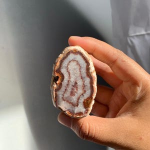 以下が含まれることがあります： 手で持たれた磨かれた瑪瑙石は、同心円状の帯の詳細なパターンを示しています。 石の中心は白で、赤茶色に変わり、ベージュの外縁になります。 天然石はユニークな装飾品です。