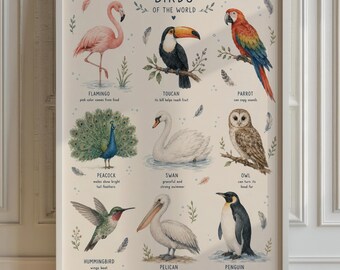Birds of the World Poster, Watercolor Living Room Wall Art, Educational Nursery Chart