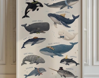 Whale Species Chart Poster, Ocean Wall Art for Baby Boy Nursery