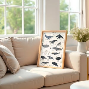 Whale Species Chart Art Print, Educational Ocean Poster, Bathroom Kids Room Decor image 9