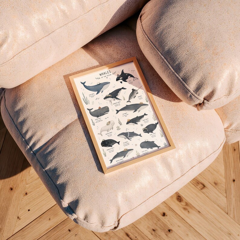 Whale Species Chart Art Print, Educational Ocean Poster, Bathroom Kids Room Decor image 8