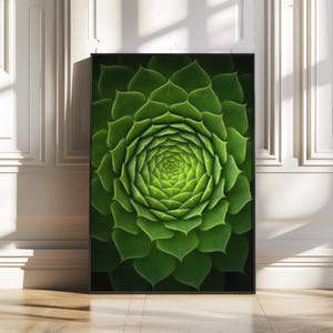 May include: A close-up of a green succulent plant with a spiral pattern. The plant has a rosette shape and is in focus.
