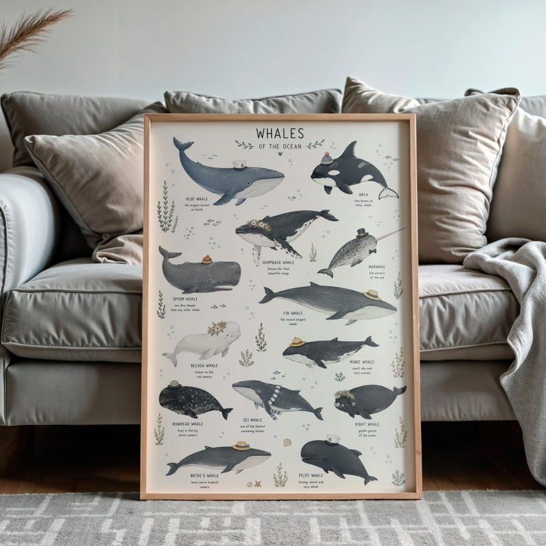 Whale Species Chart Art Print, Educational Ocean Poster, Bathroom Kids Room Decor image 5